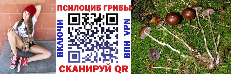 Псилоцибиновые грибы GOLDEN TEACHER  Зея 